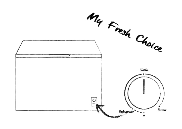 Arcón congelador FT184D4AWF