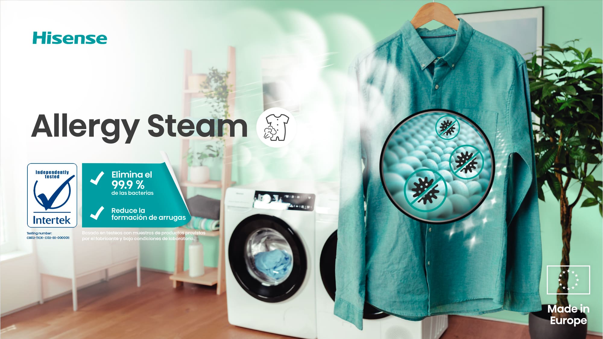 Imagen Allegy Steam