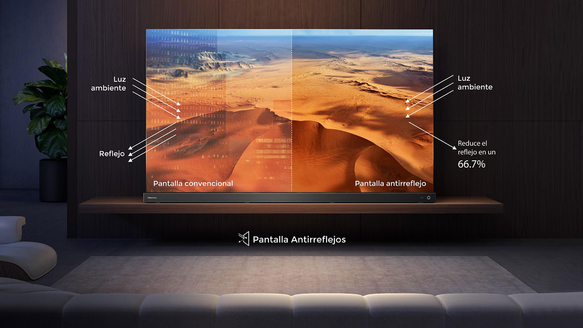 OLED TV pantalla antirreflejo Hisense