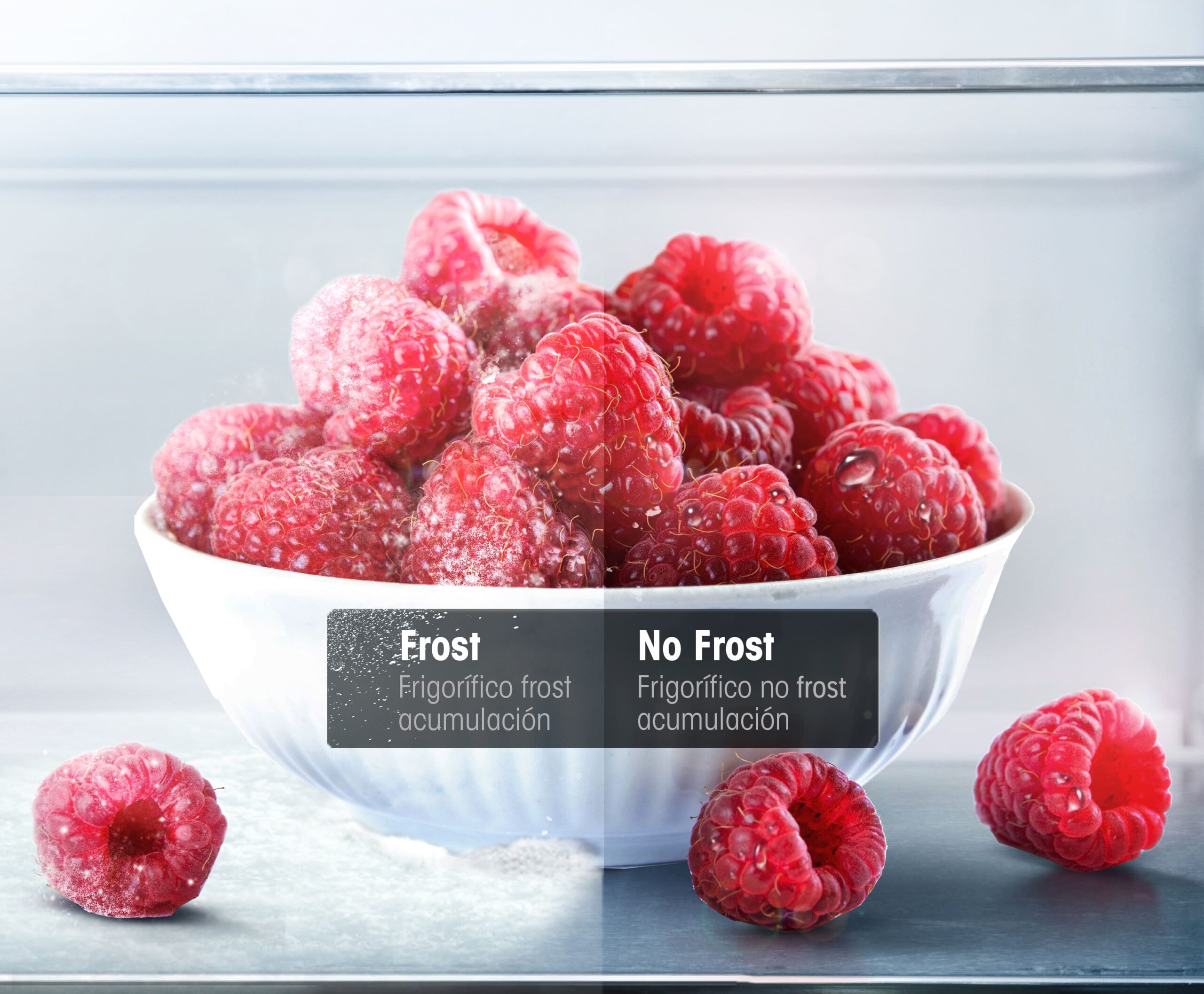 TOTAL NO FROST