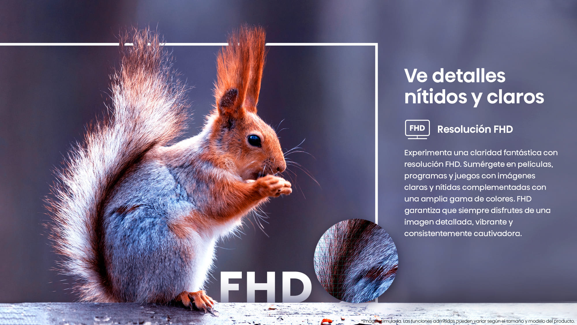 Resolución FHD