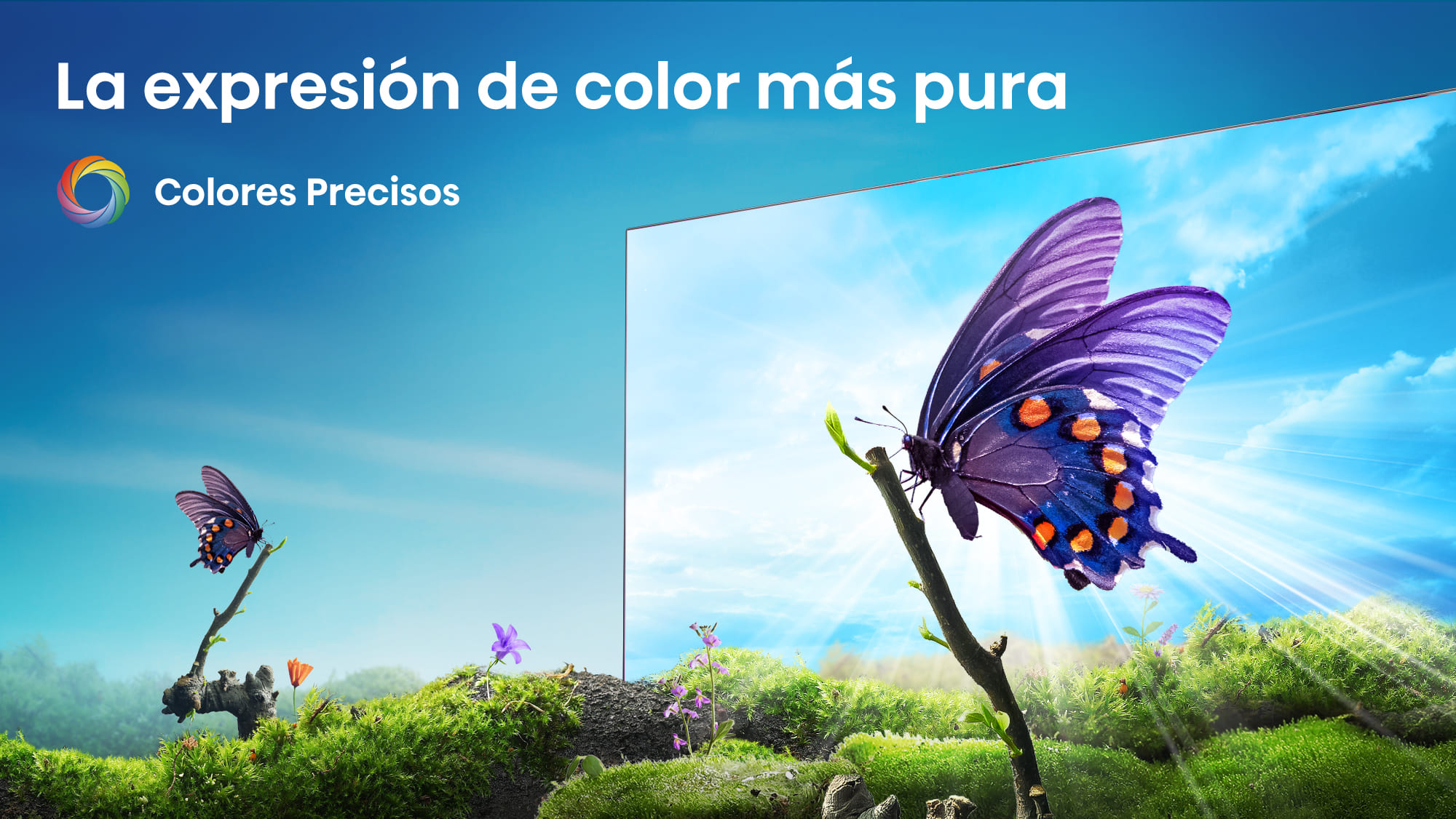 Colores Precisos