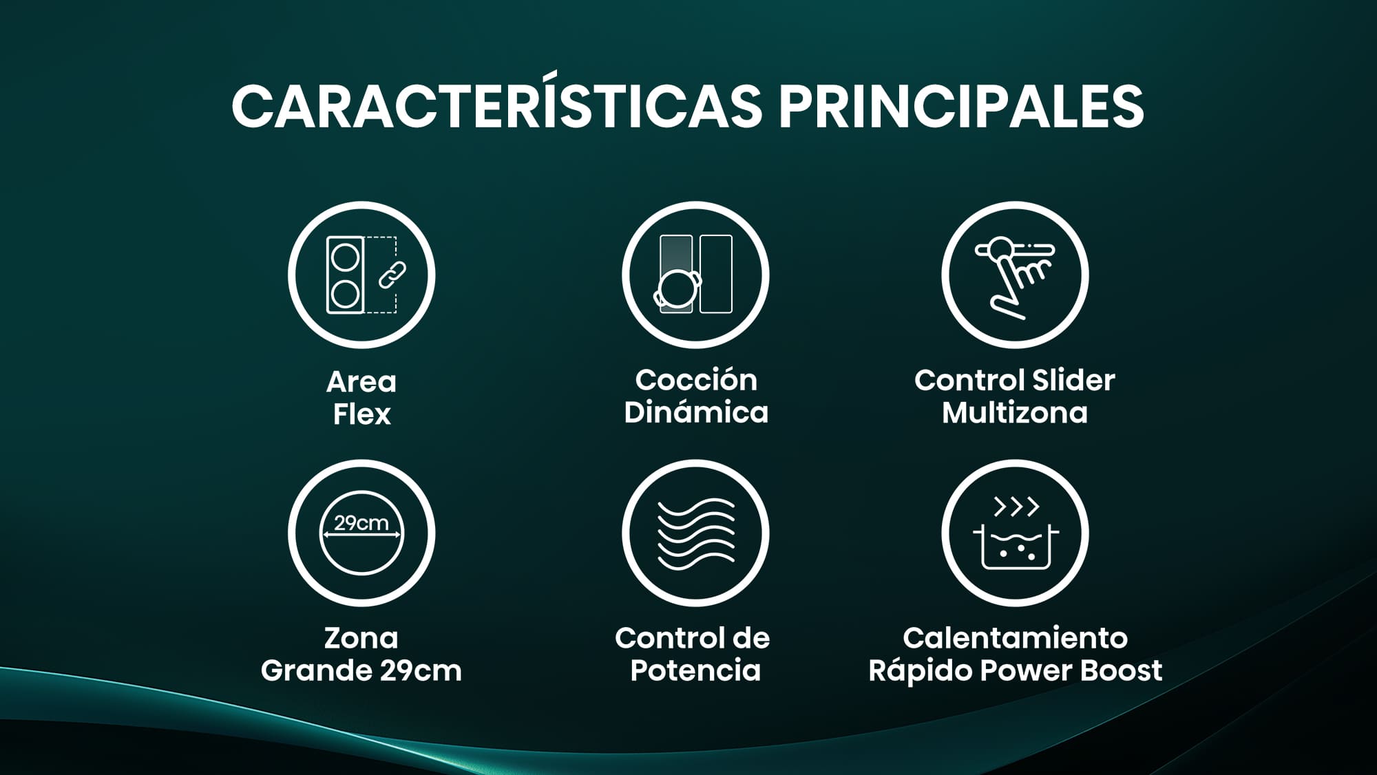 Características principales