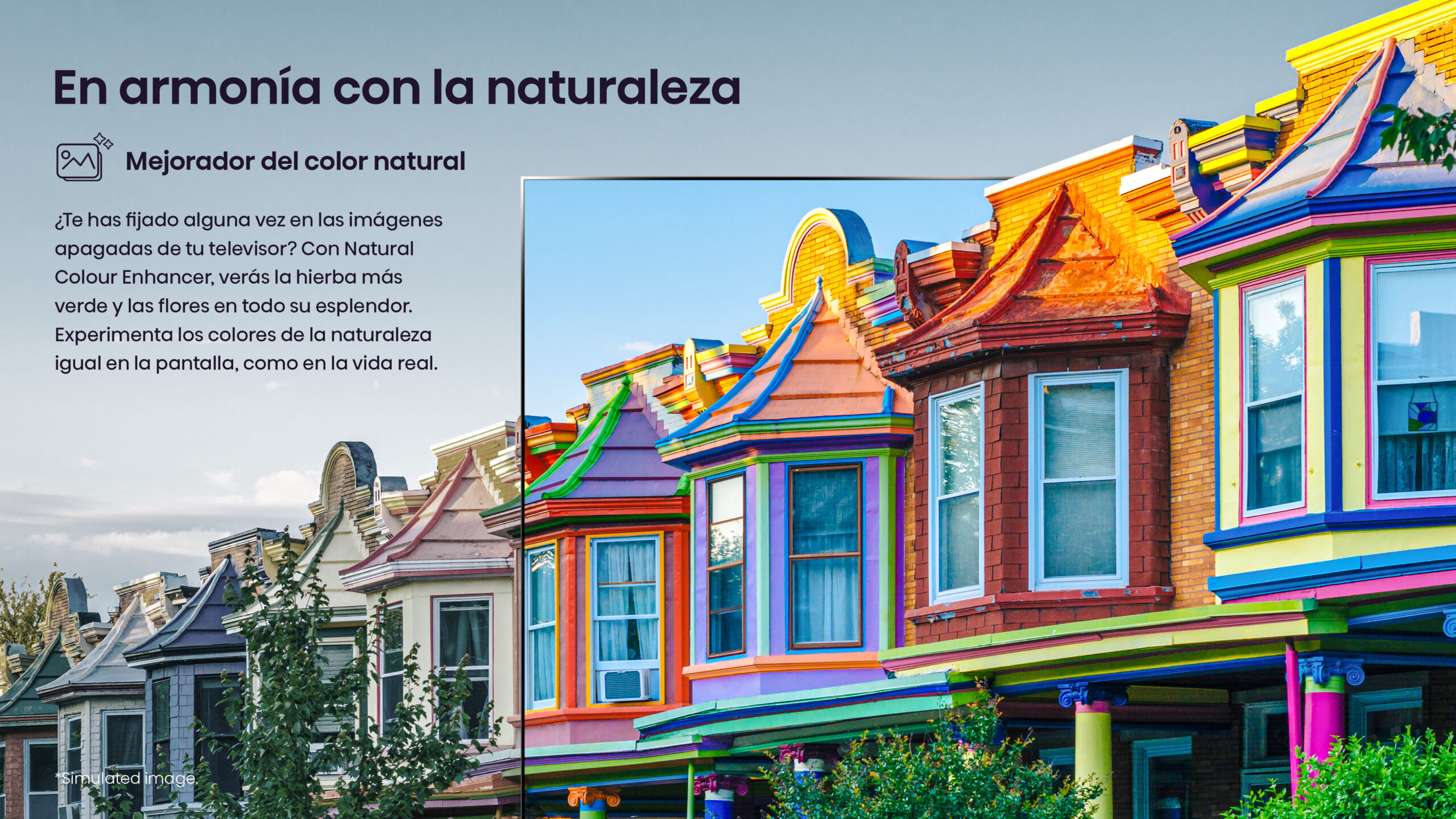 Mejorador del color natural