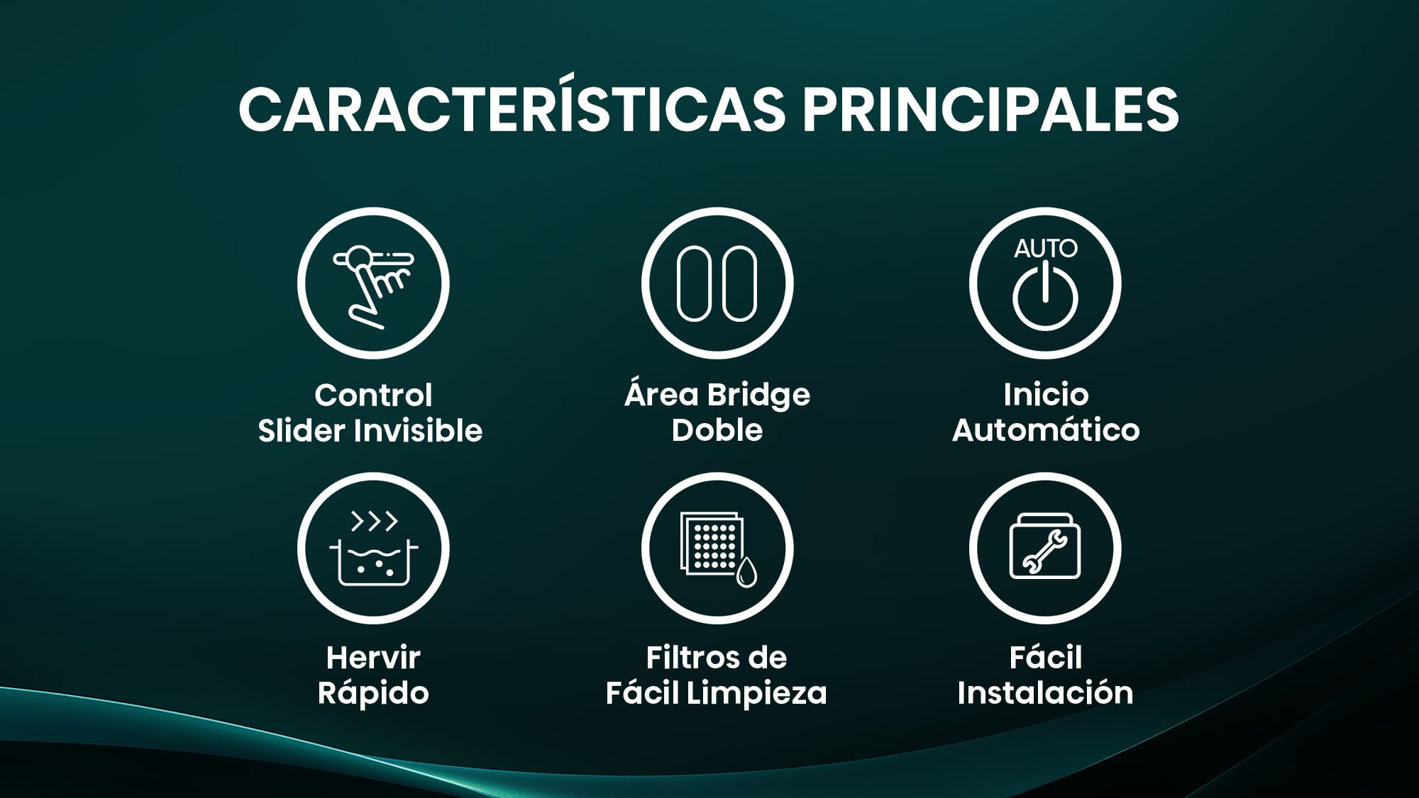 carcaterísticas principales