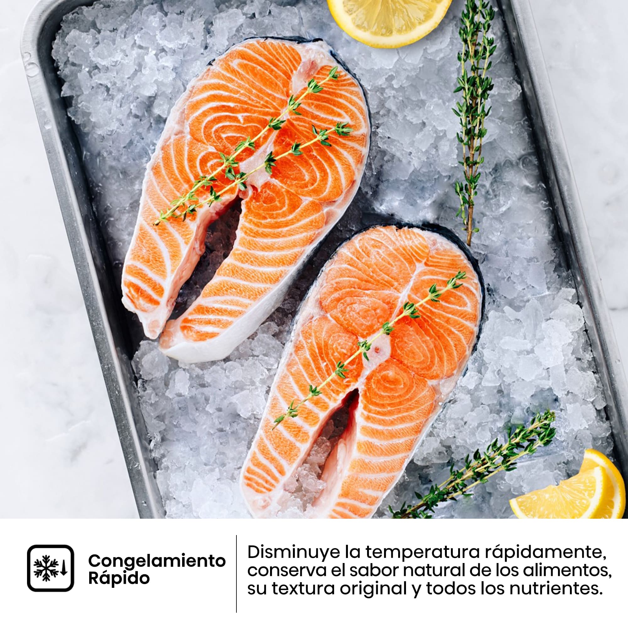 Hisense - MC60331IE – Combi 2 Puertas De Libre Instalación, Clase E, Capacidad 336L, Color Inox