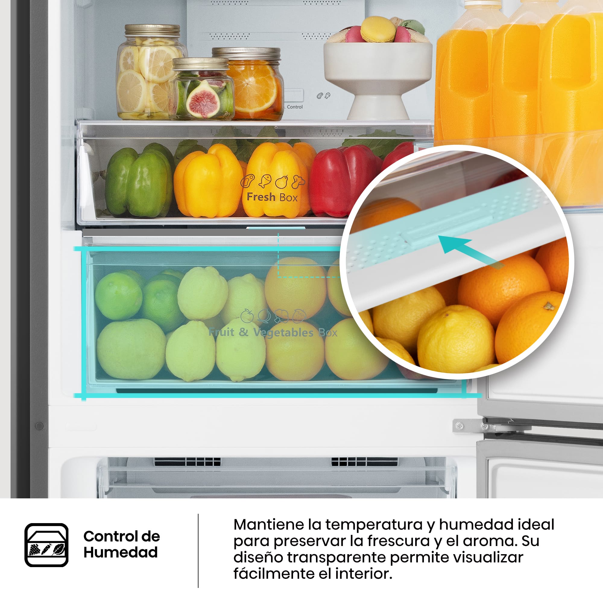 Hisense - MC60331IE – Combi 2 Puertas De Libre Instalación, Clase E, Capacidad 336L, Color Inox