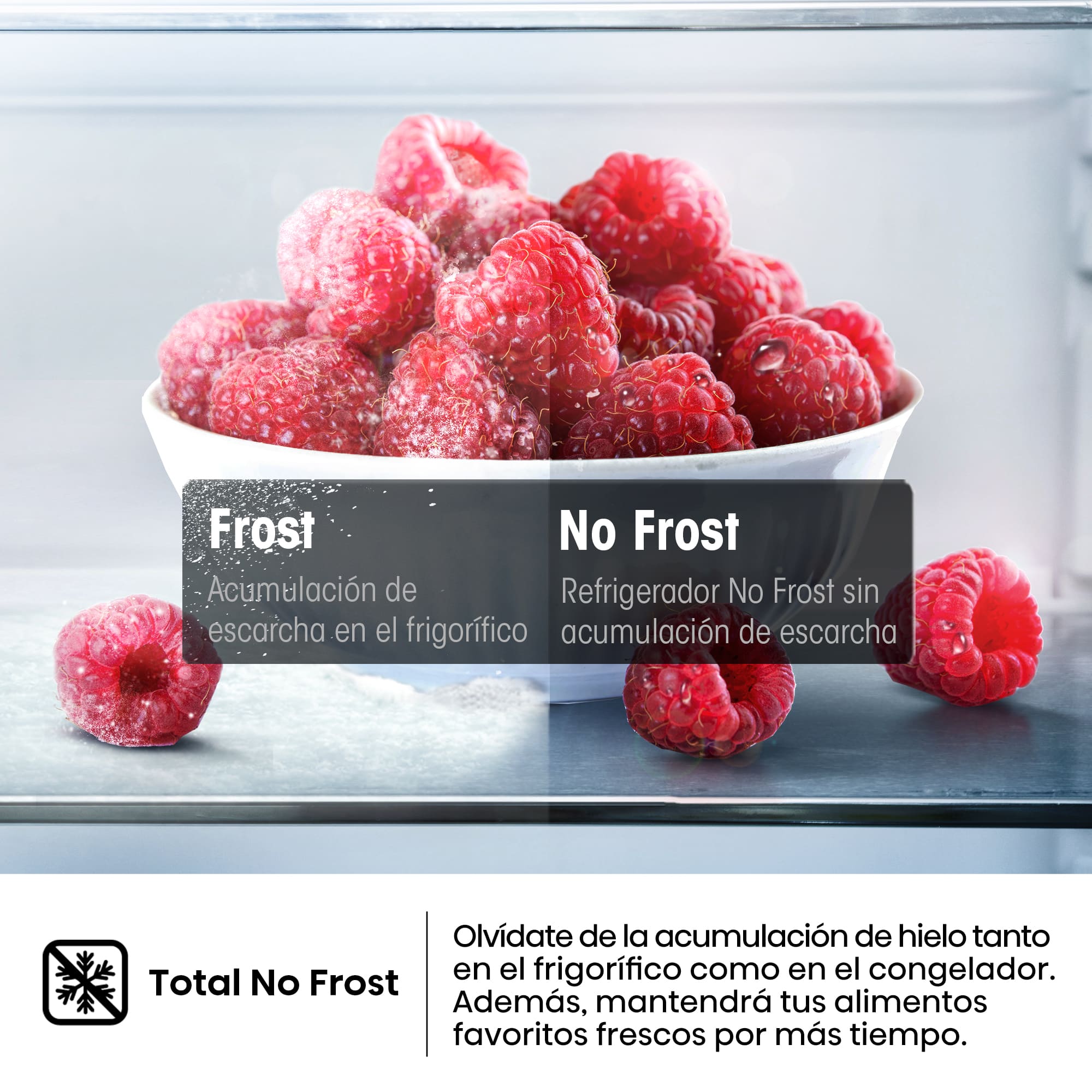 Hisense - RT327N4AWE – 2 Puertas De Libre Instalación, Clase E, Capacidad 249L, Color Blanco