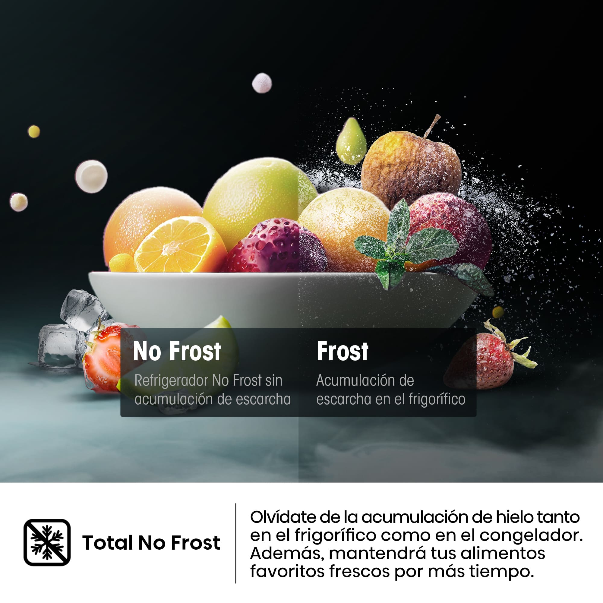 Hisense - RB329N4ACE – Combi 2 Puertas De Libre Instalación, Clase E, Capacidad 255L, Color Inox