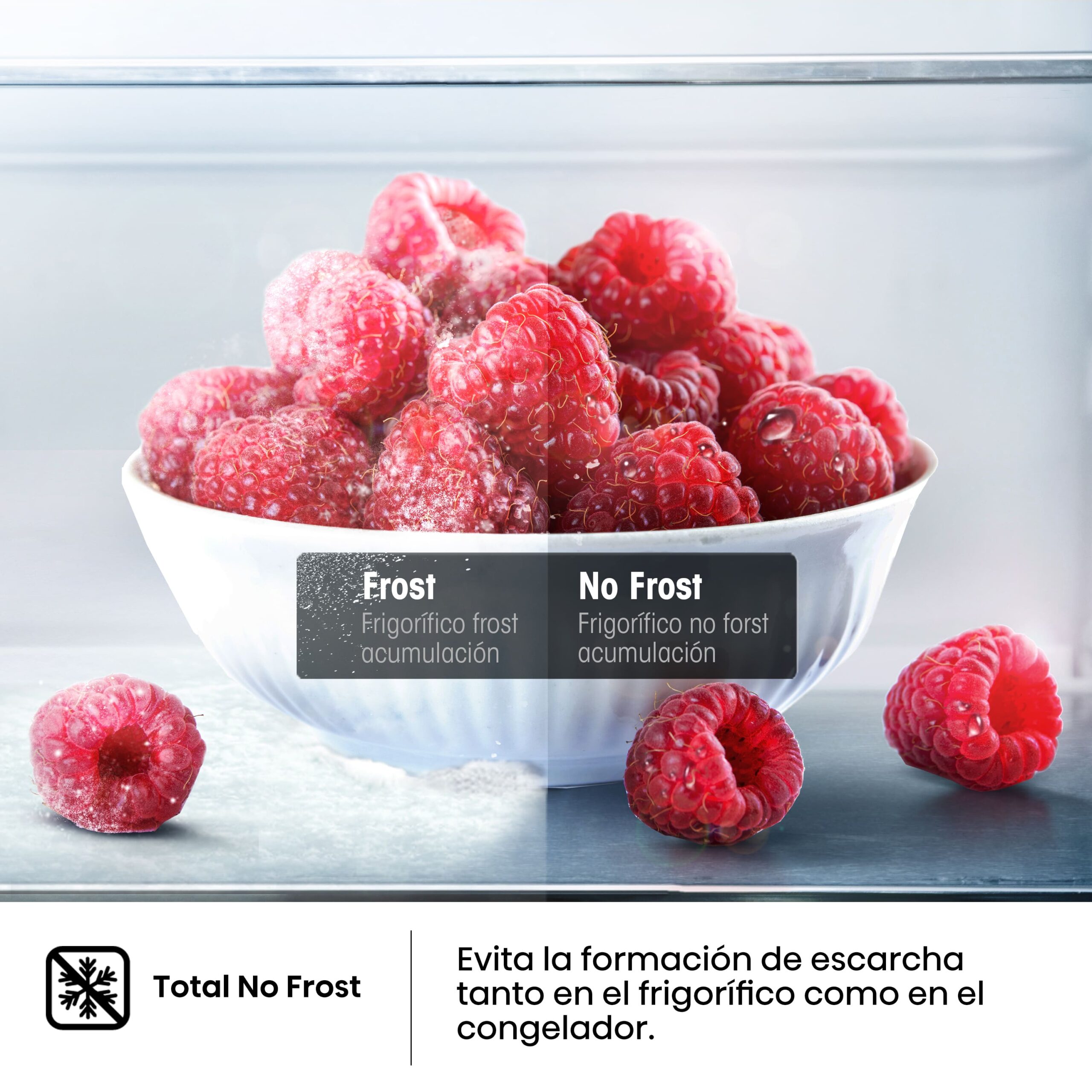 Hisense - RB440N4GWD – Frigorífico Combi 2 Puertas, Clase D , 336L, Cristal Blanco