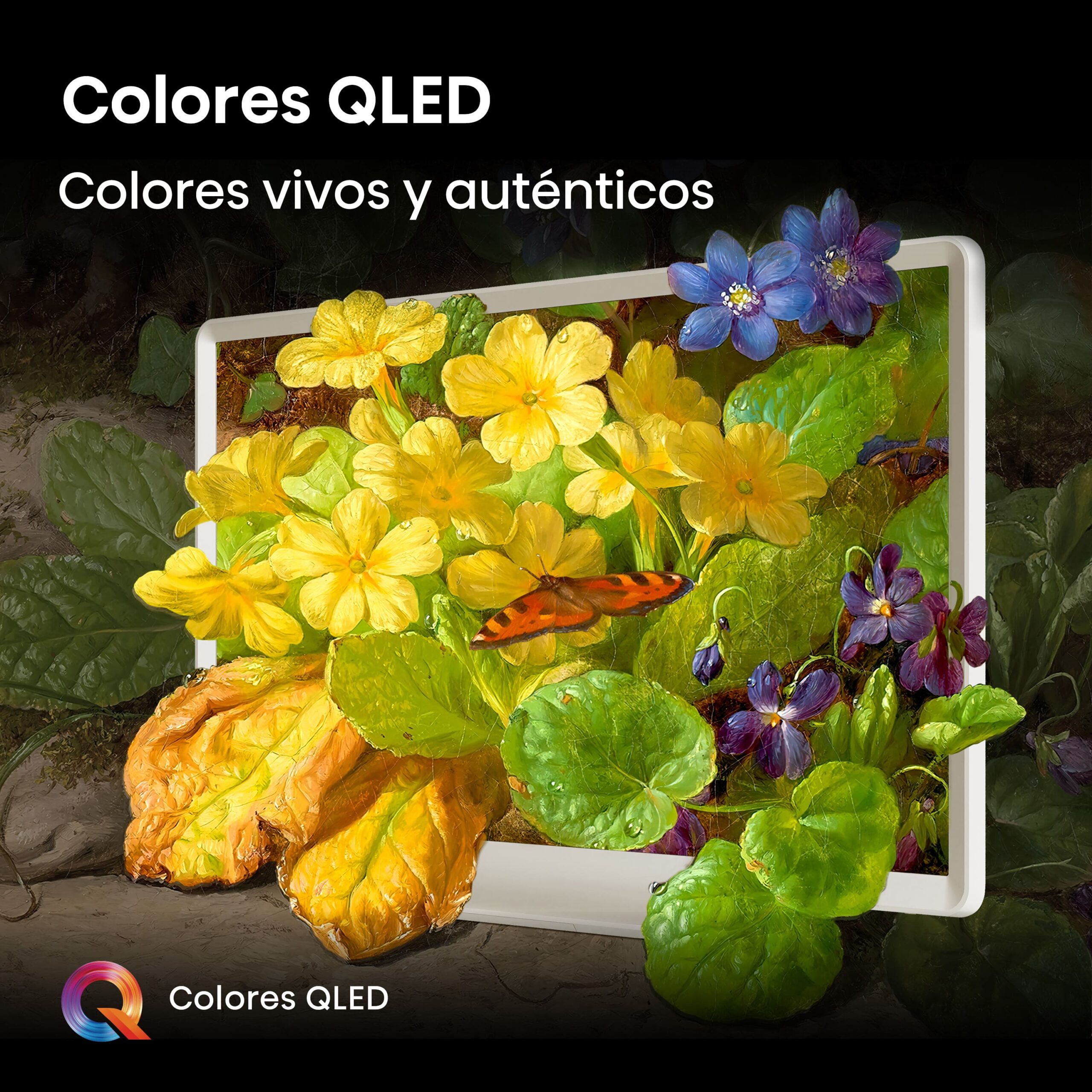 Hisense - Deco TV 32S5Q, QLED Quantum Dot colour 32″ Pulgadas