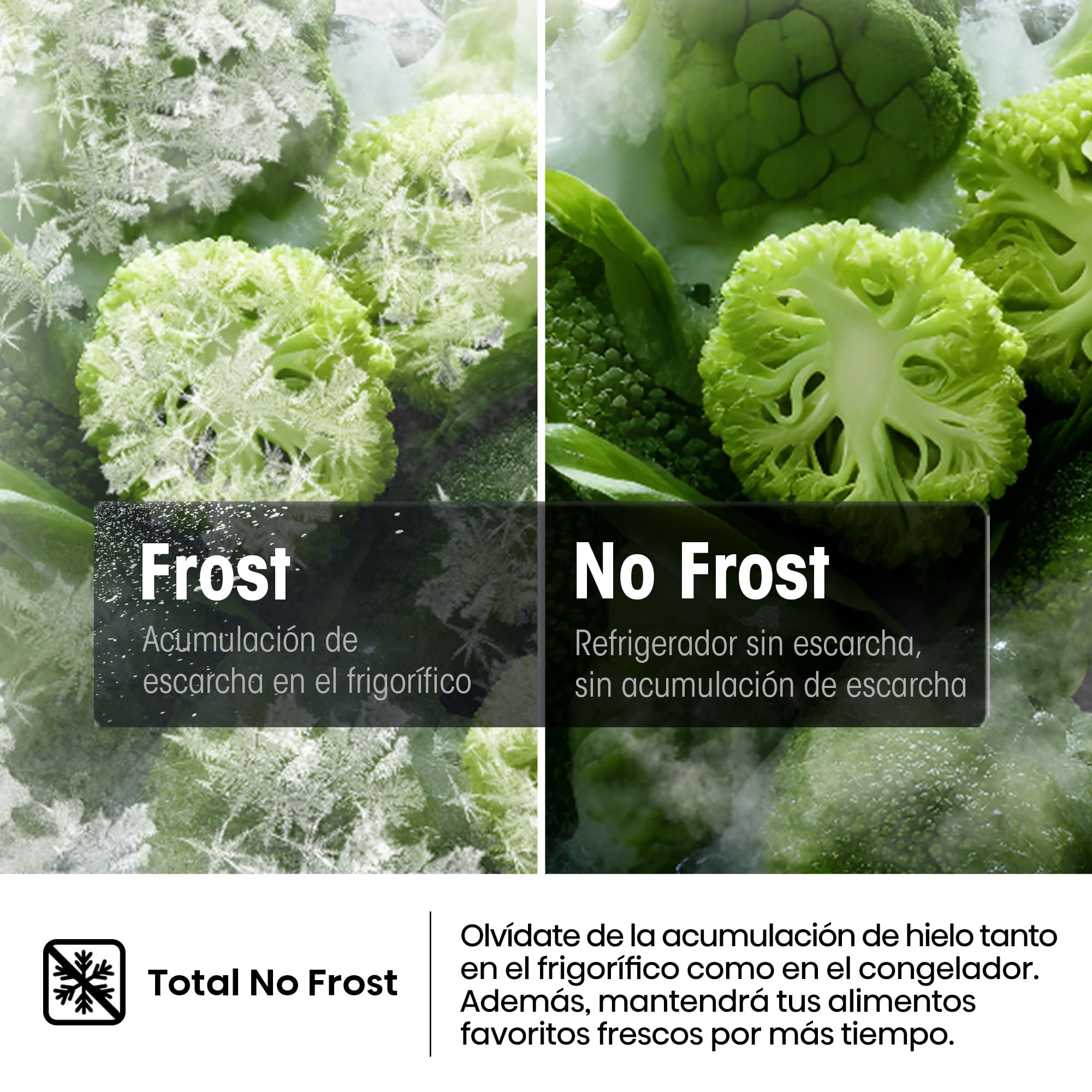 Hisense - RB5P410SACA – Combi 2 Puertas De Libre Instalación, Clase A, Capacidad 413L, Color Inox