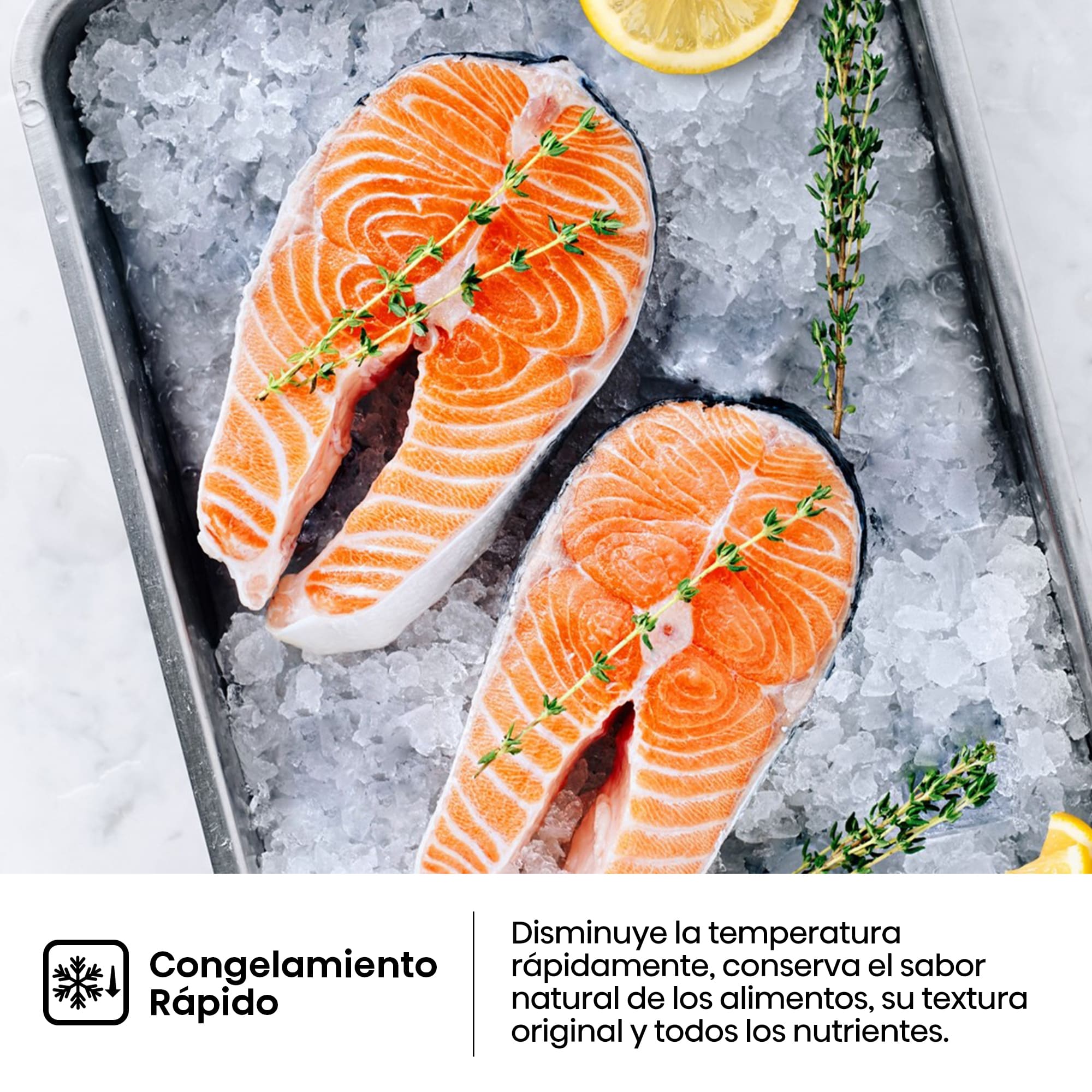 Hisense - FT3K310SEWE1 – 1 Puerta De Libre Instalación Kitchen Fit, Clase E, Capacidad 312L, Color Blanco