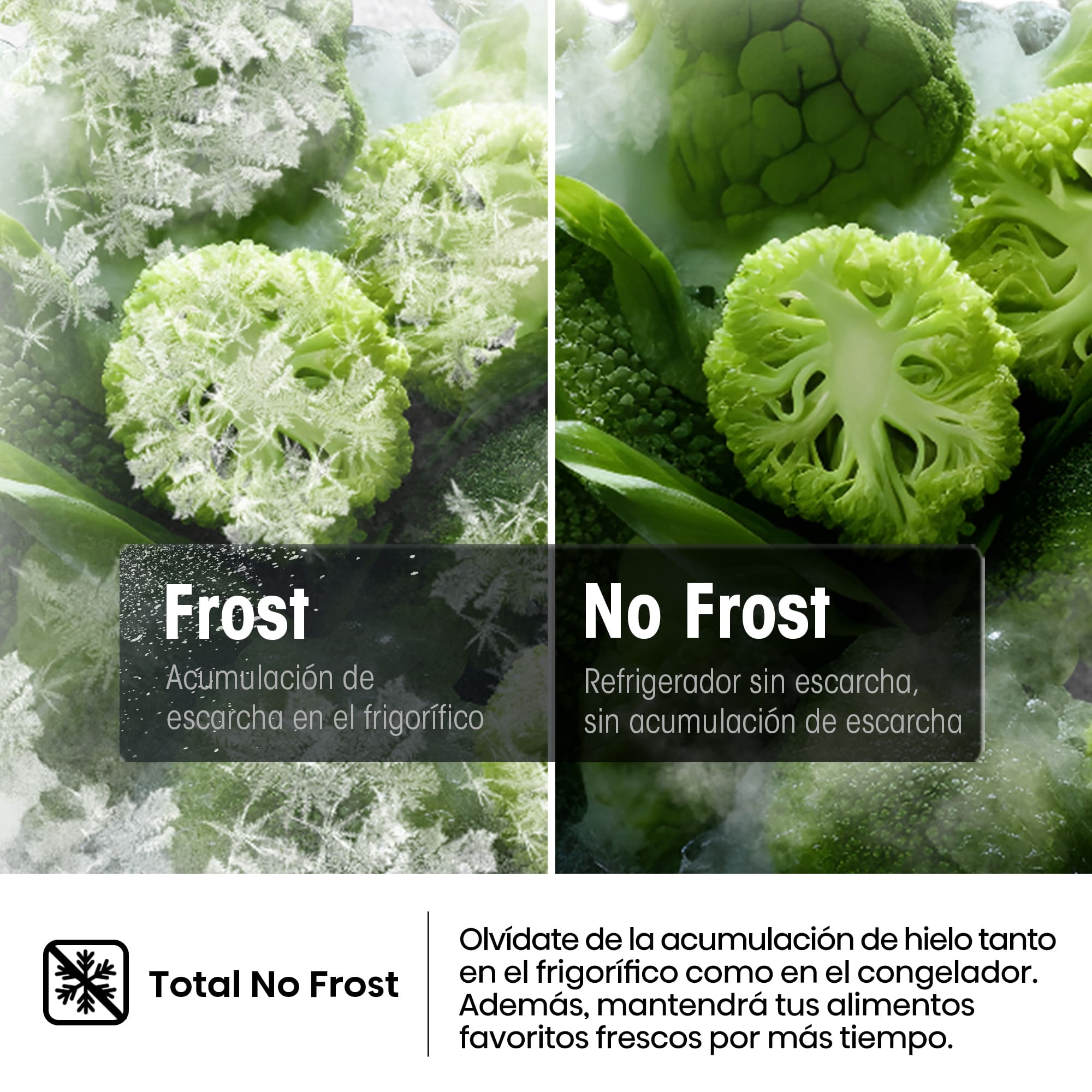 Hisense - FT3K310SEWE1 – 1 Puerta De Libre Instalación Kitchen Fit, Clase E, Capacidad 312L, Color Blanco