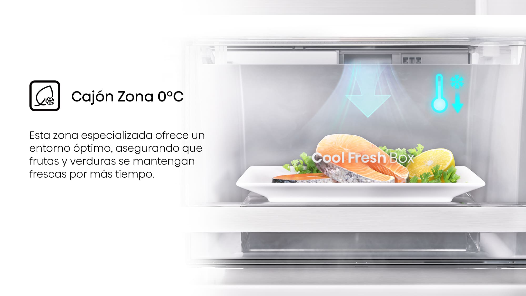 5.11-Cajón zona 0ºC