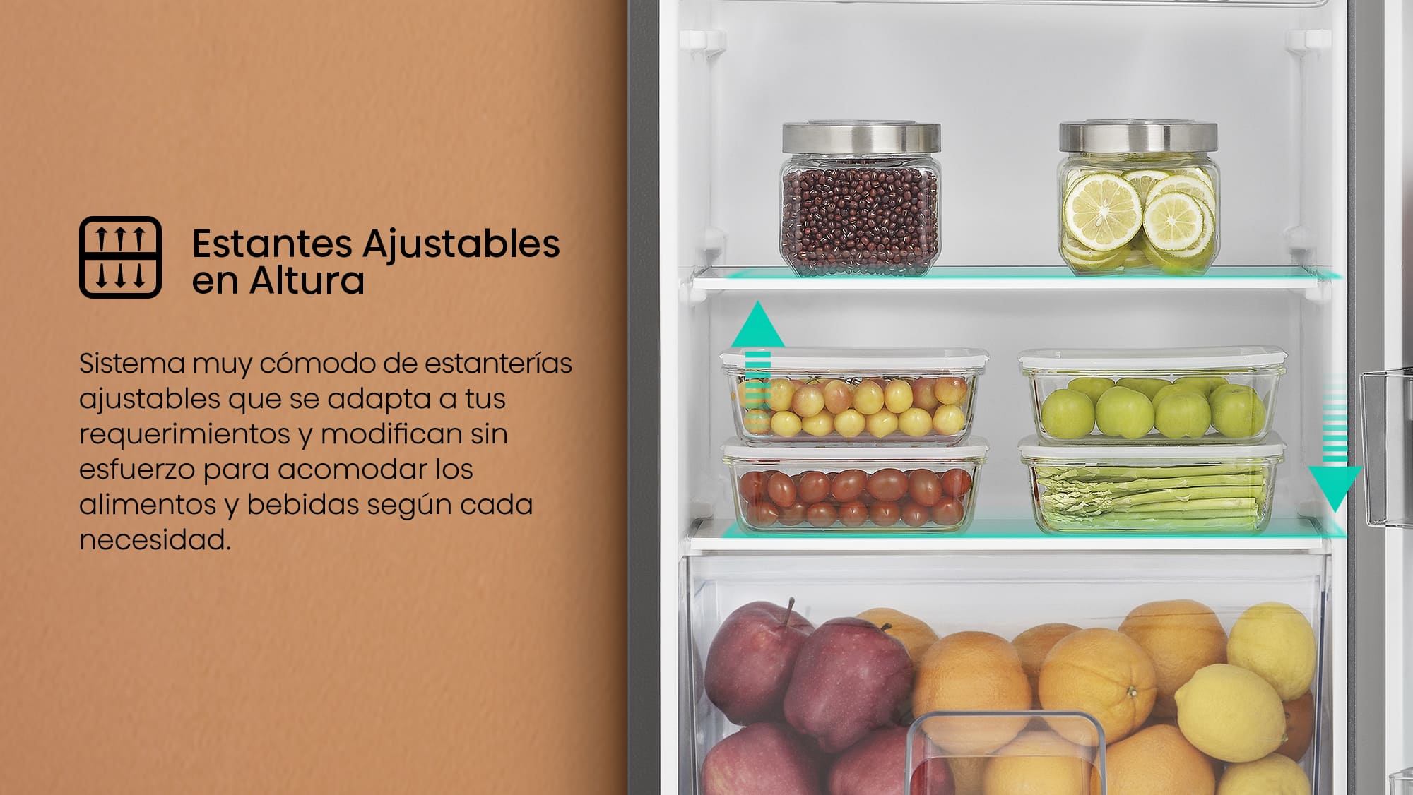 RR220D4BDE_5.2-Adjustable Shelves