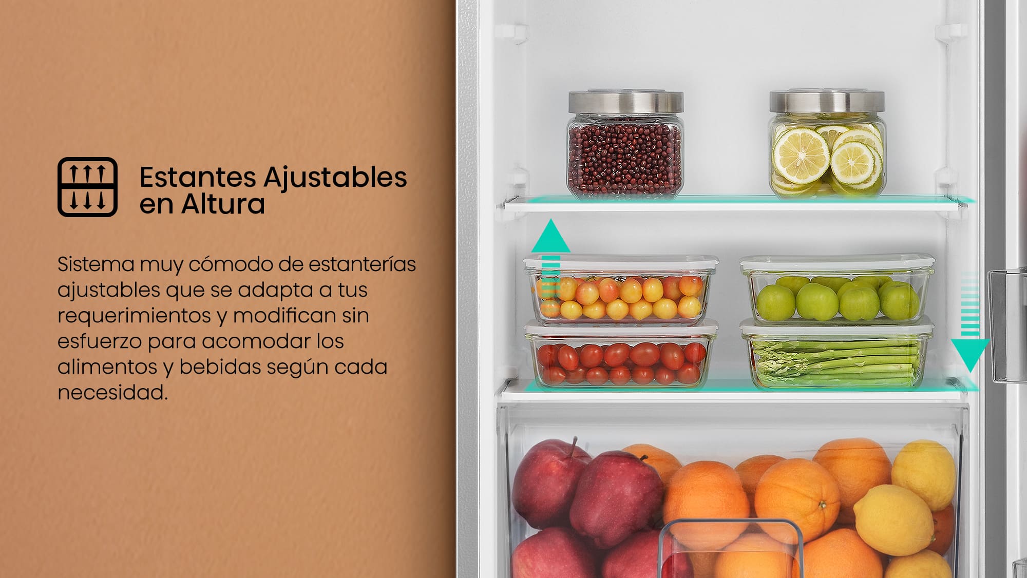 RR220D4BWE_5.2-Adjustable Shelves