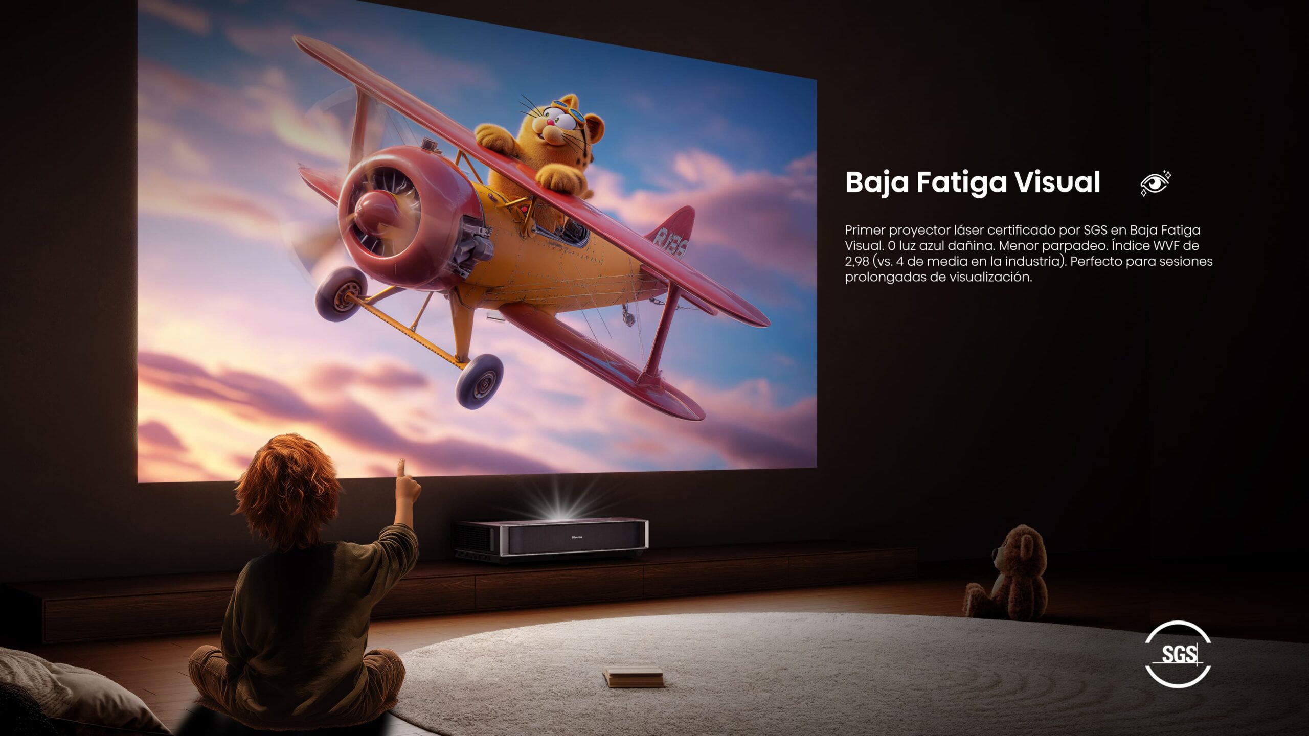 16. SGS Baja Fatiga Visual