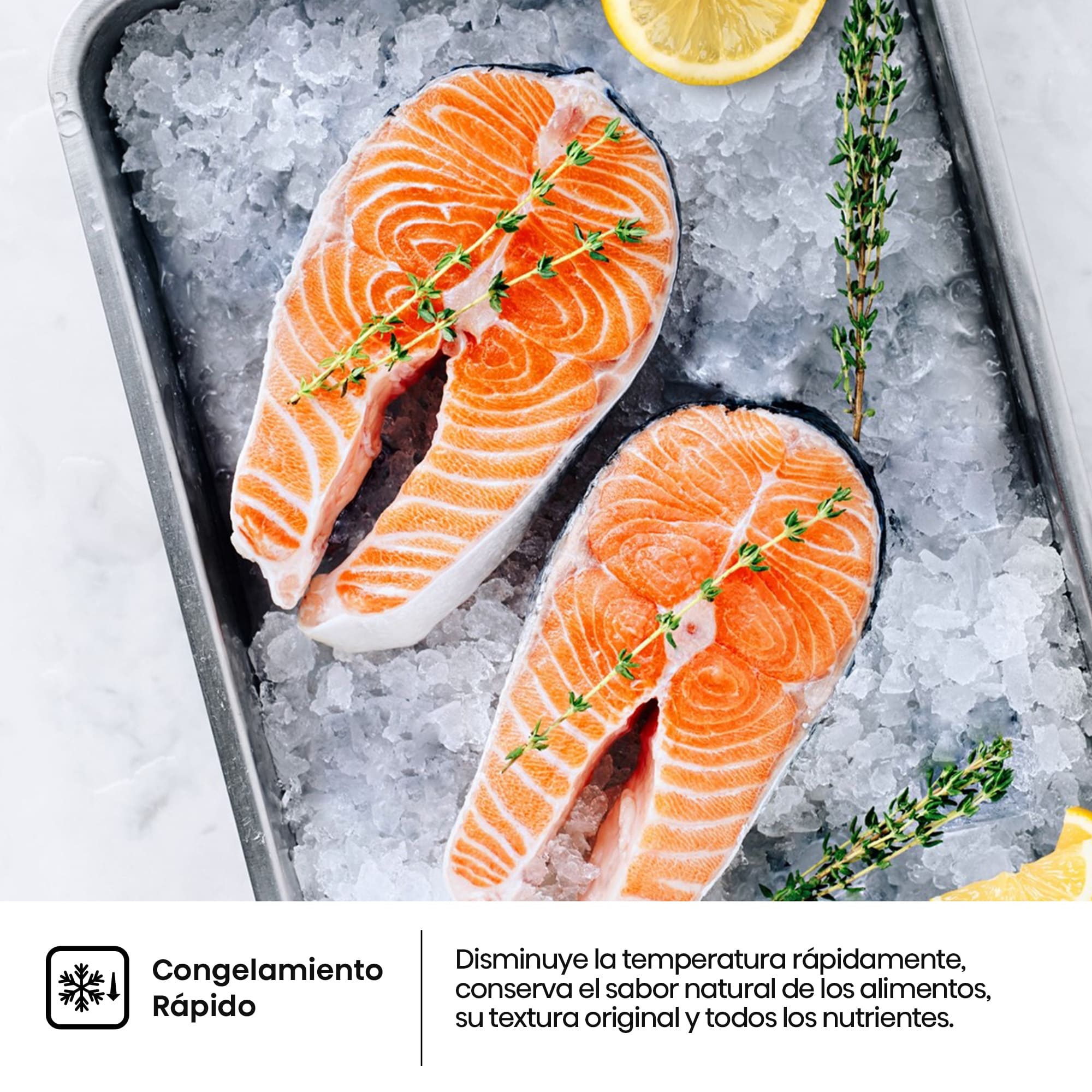 Hisense - MC60331ID – Frigorífico Combi 2 Puertas De Libre Instalación, Clase D , Capacidad 336L, Color Inox