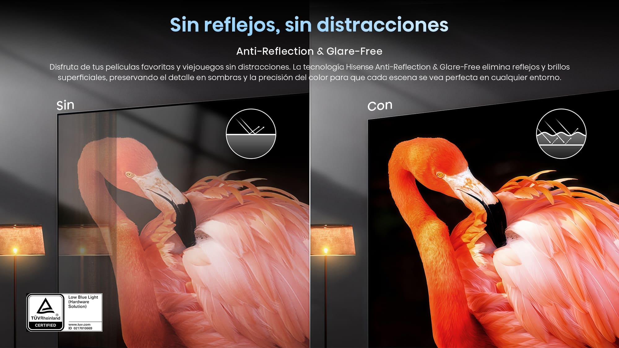 2-3-Anti-Reflection-&-Glare-Free