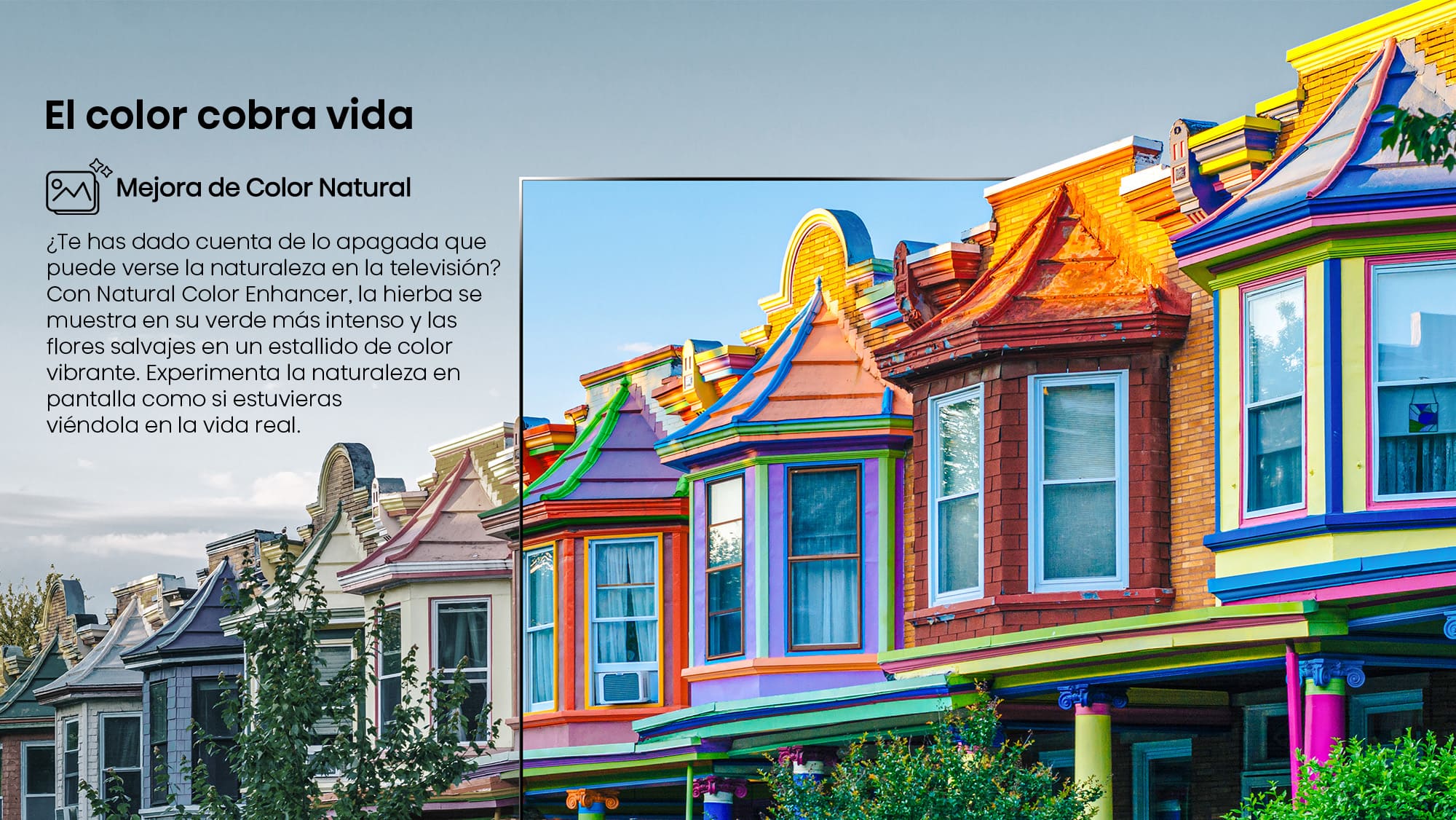 3 Natural Color Enhancer