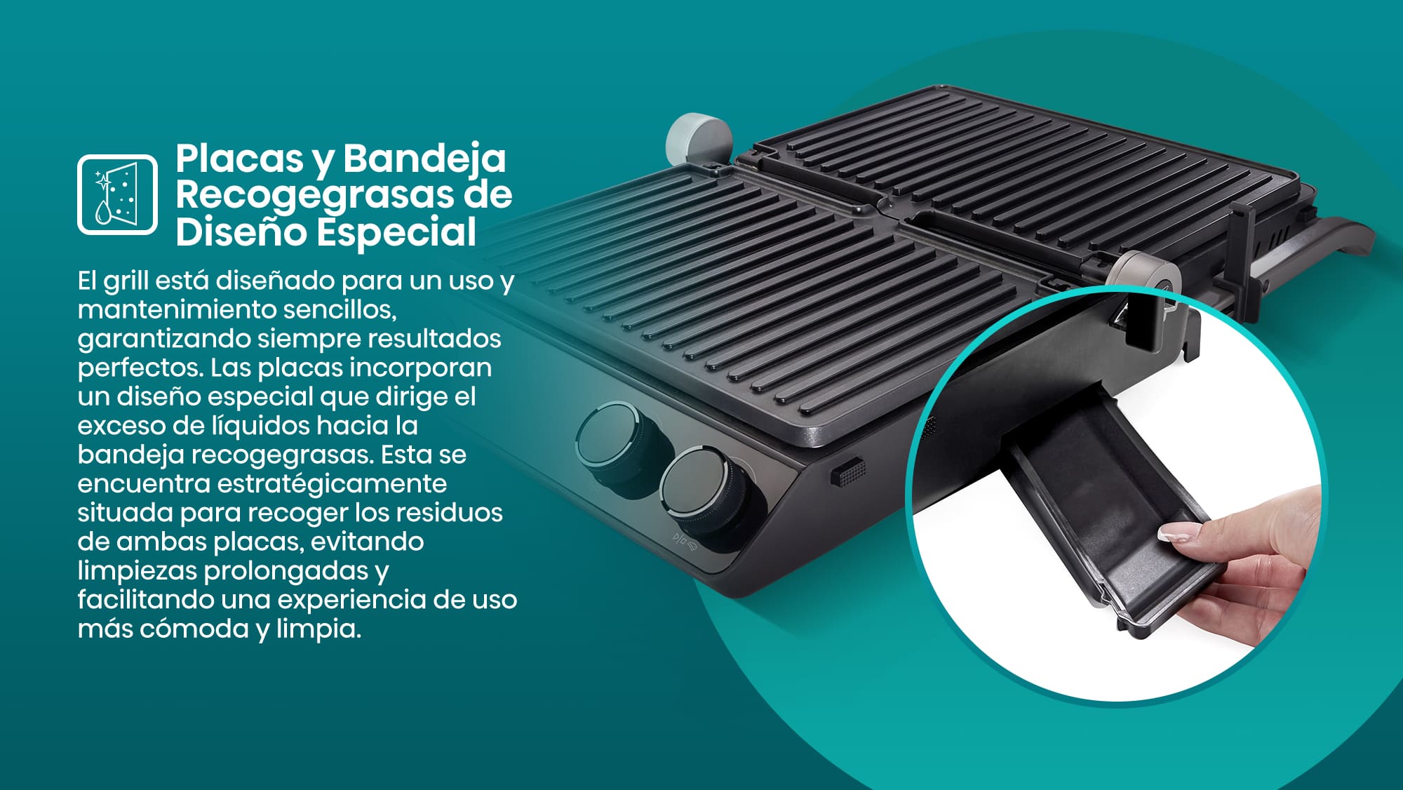 6-2-Specially designed plates and drip tray