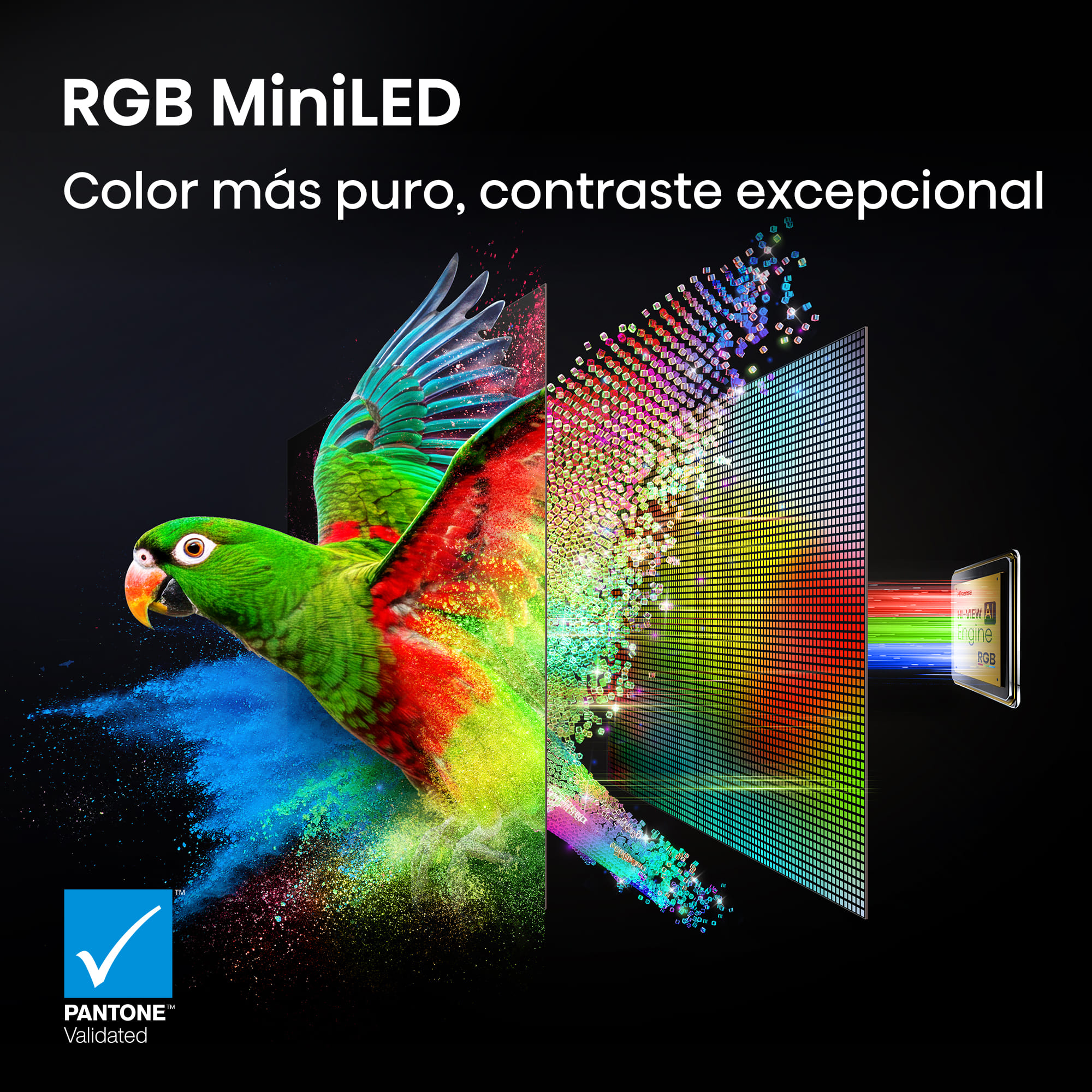 Hisense - Serie UR9 RGB MiniLED TV Hisense 75UR9S