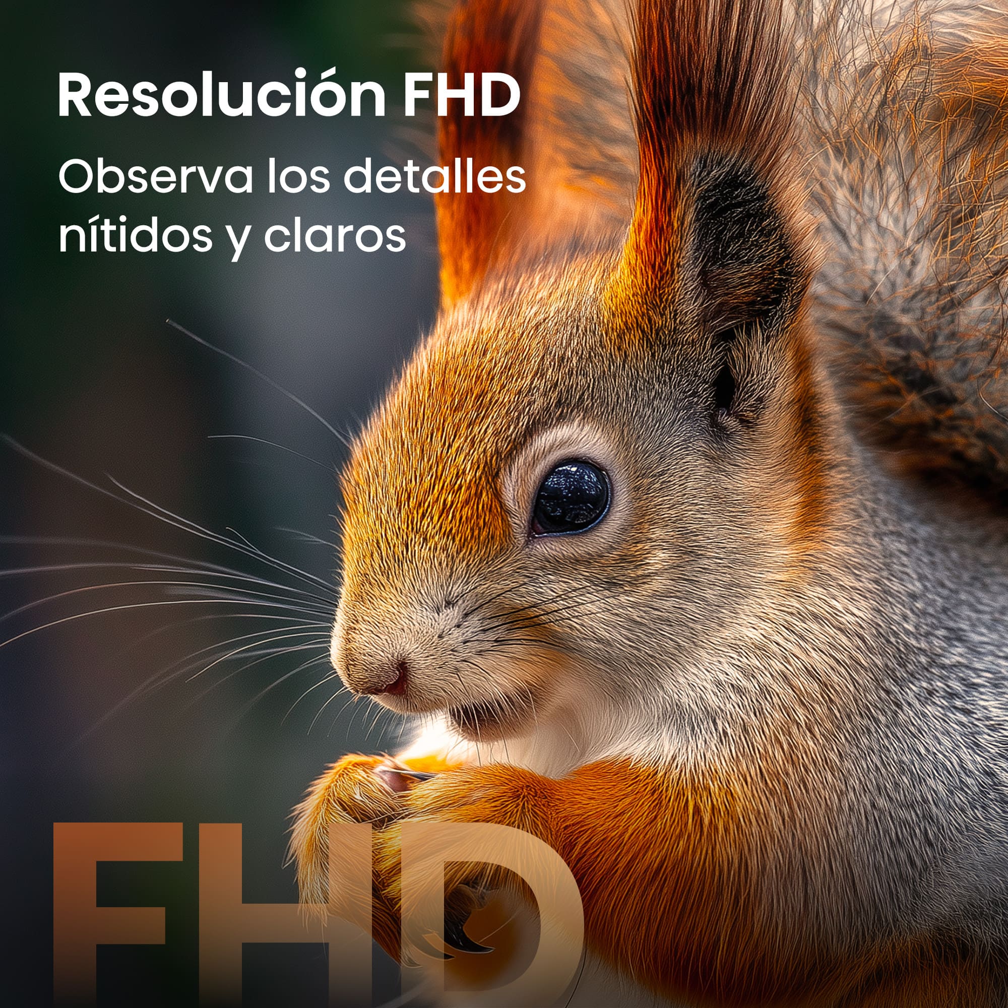 Hisense - Serie A5 QLED TV Hisense 32A5S