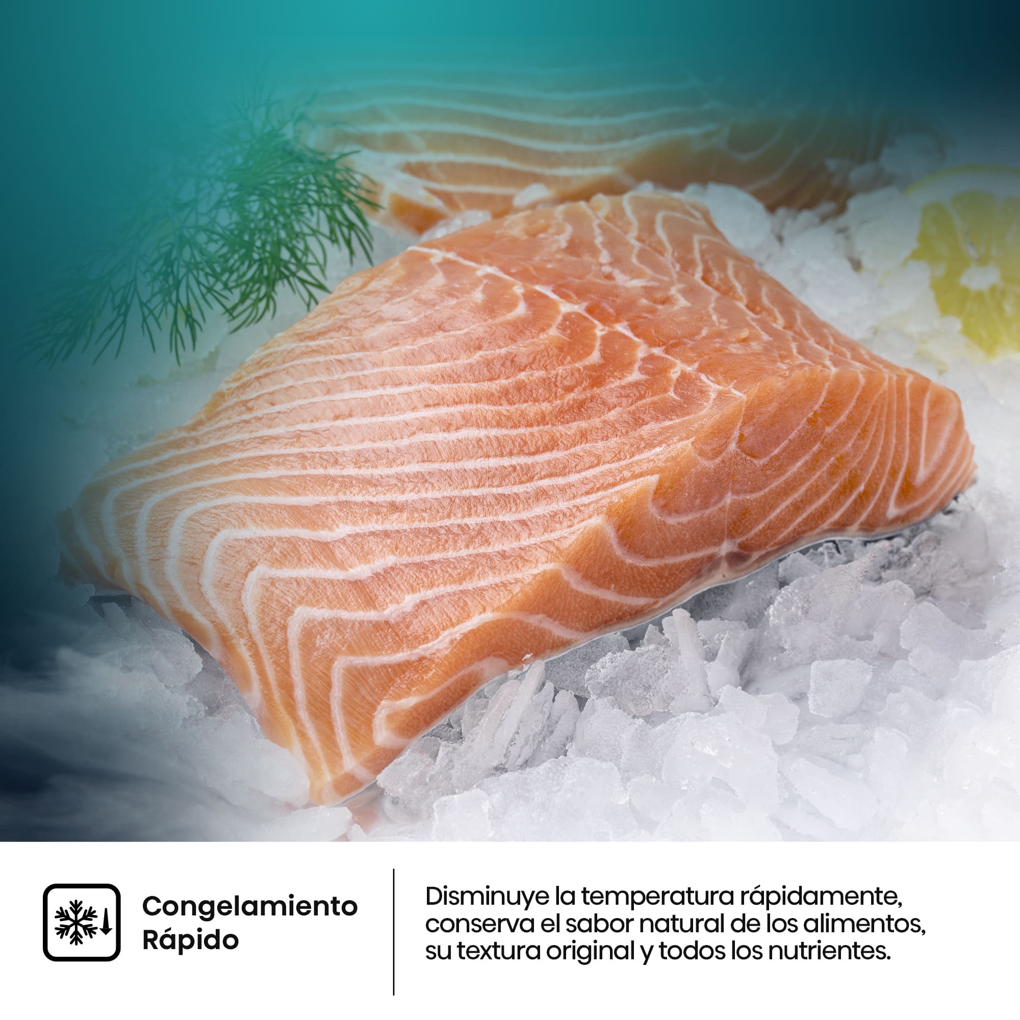 Hisense - RB300N3EWD – Frigorífico Combi 2 Puertas De Libre Instalación, Clase D, Capacidad 304L, Color Blanco