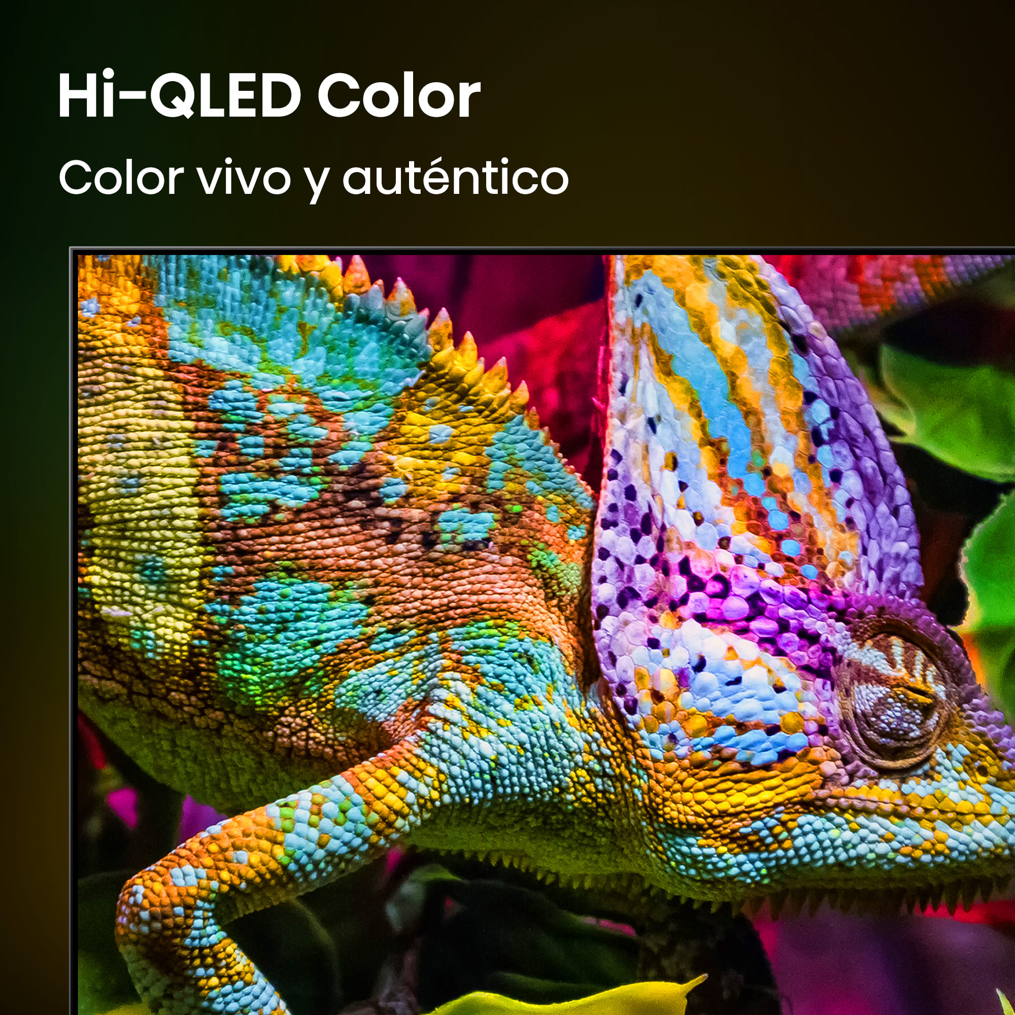 Hisense - Serie E8 MiniLED TV Hisense 55E8S