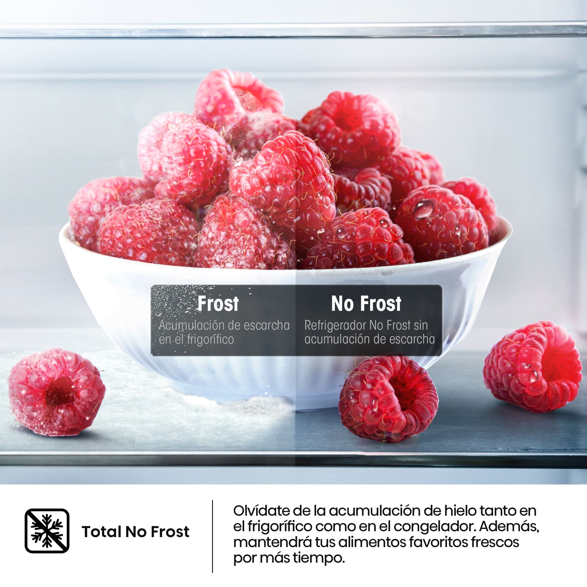 Hisense - RB440N4AWA – Combi 2 Puertas De Libre Instalación, Clase A, Capacidad 336L, Color Inox