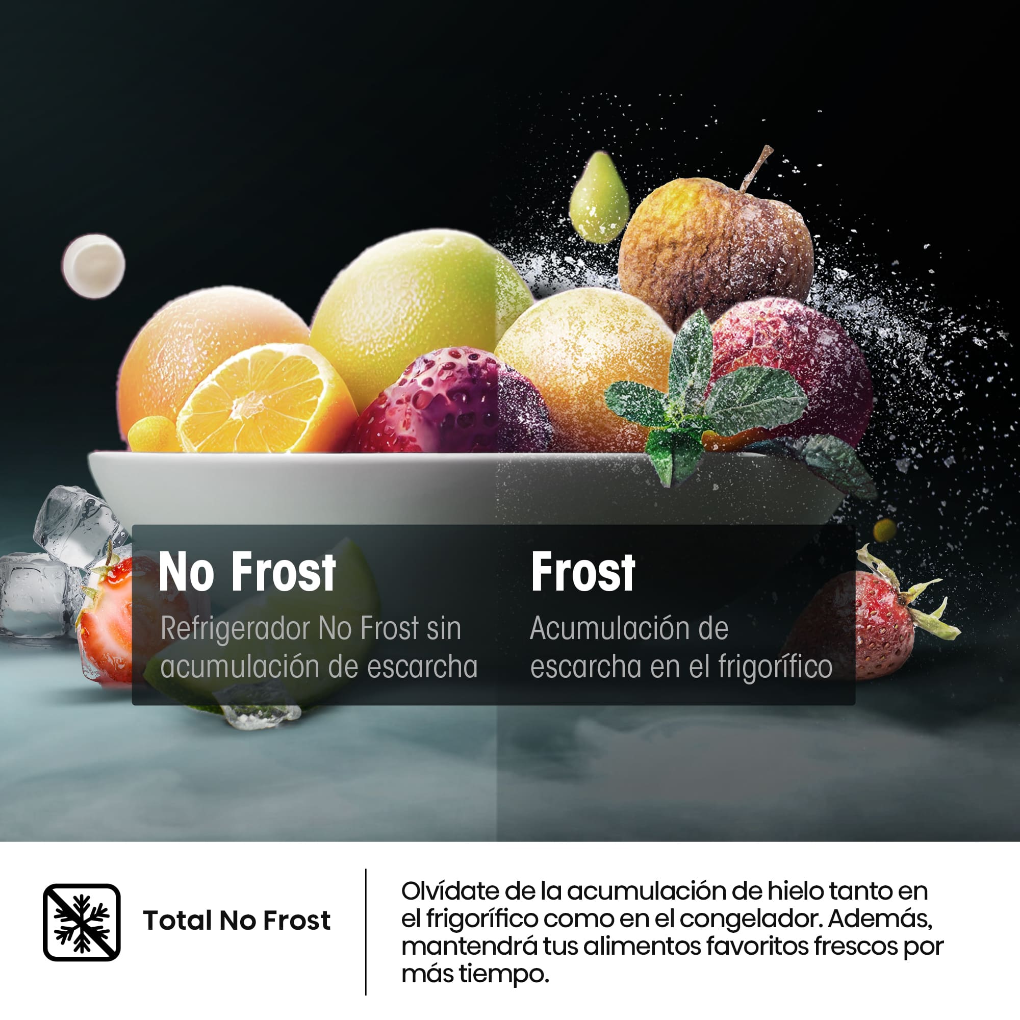 Hisense - RB300N3EWD – Frigorífico Combi 2 Puertas De Libre Instalación, Clase D, Capacidad 304L, Color Blanco