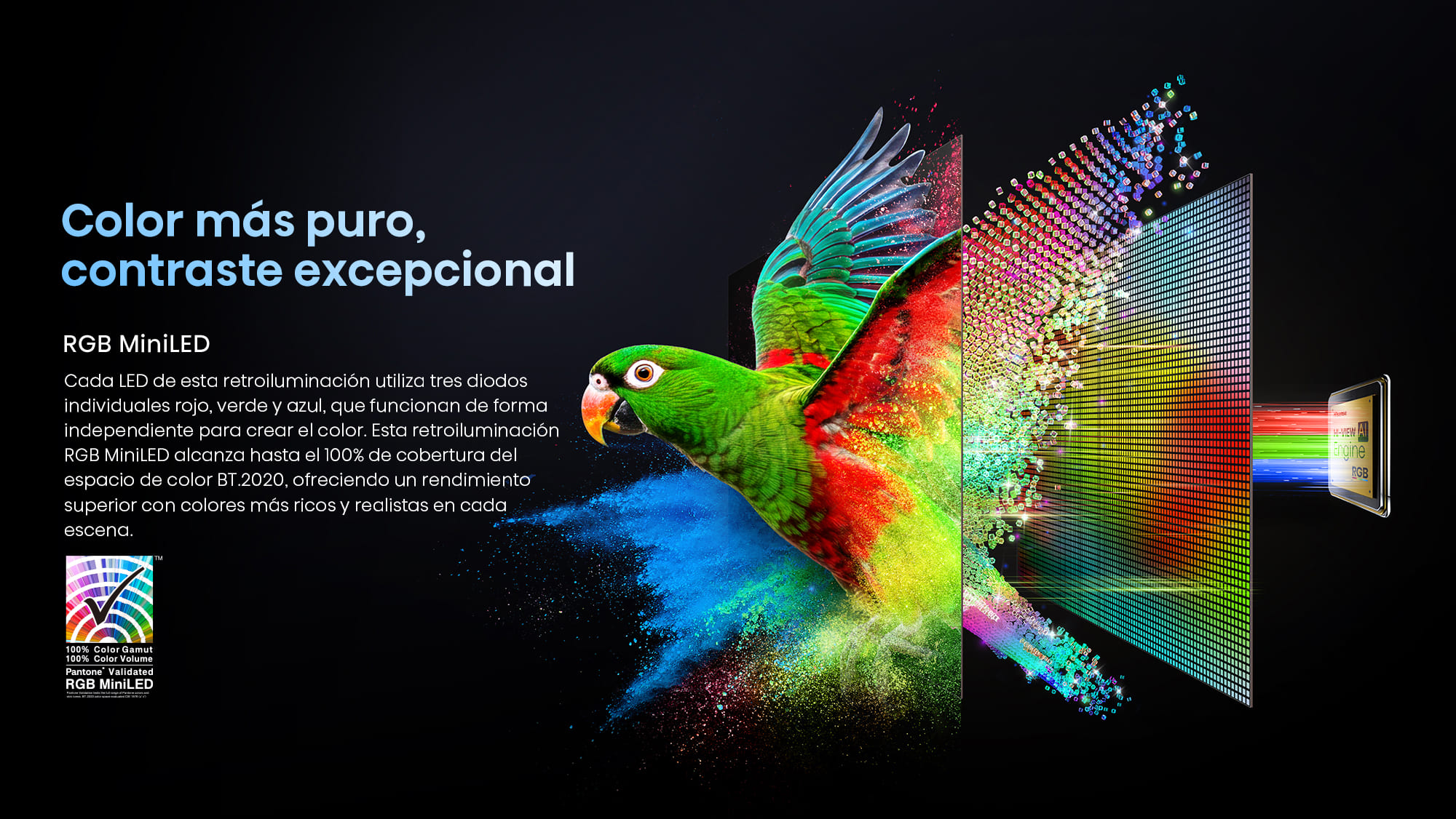 RGB Hisense Flixmedia