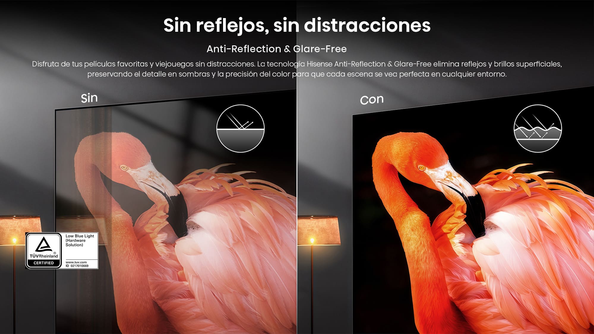 2-2-Anti-Reflection & Glare-Free