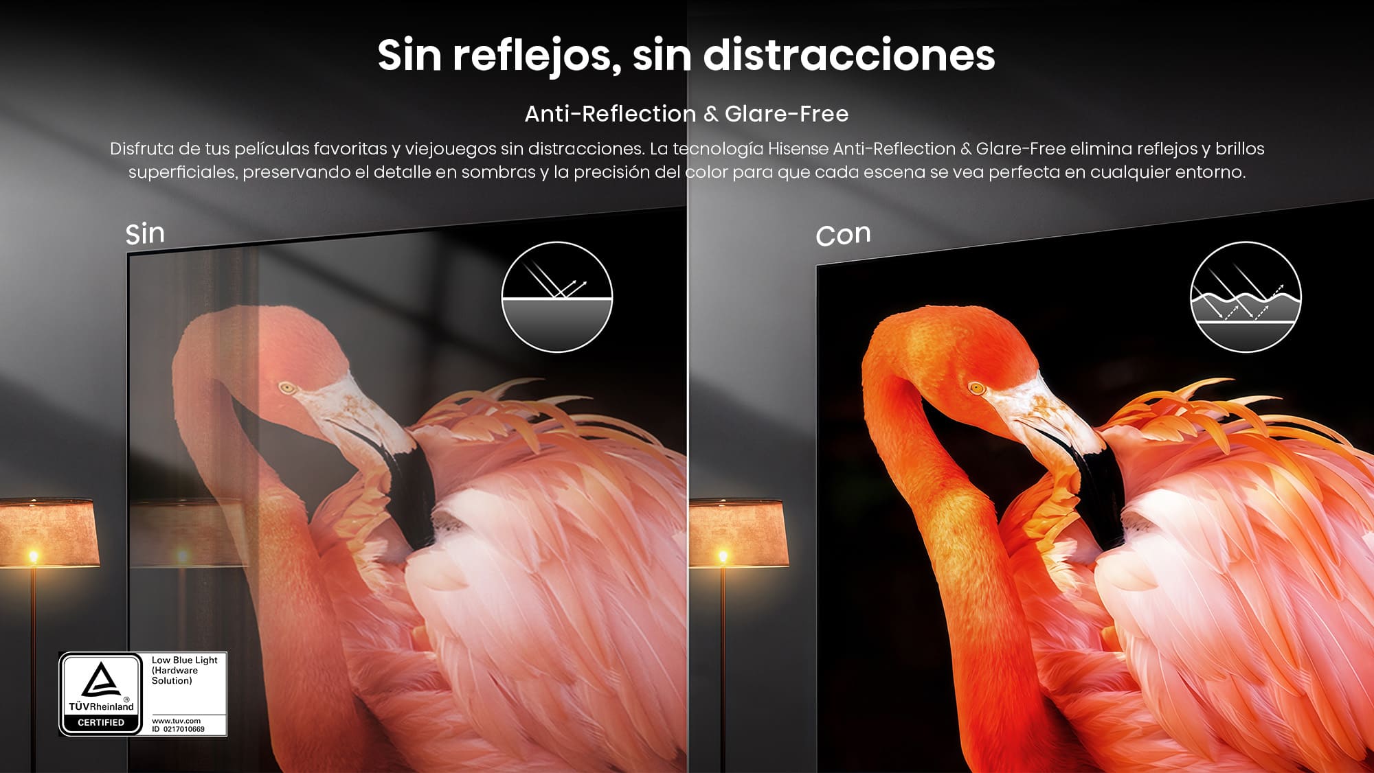 4 Antirreflejos y antideslumbrantes