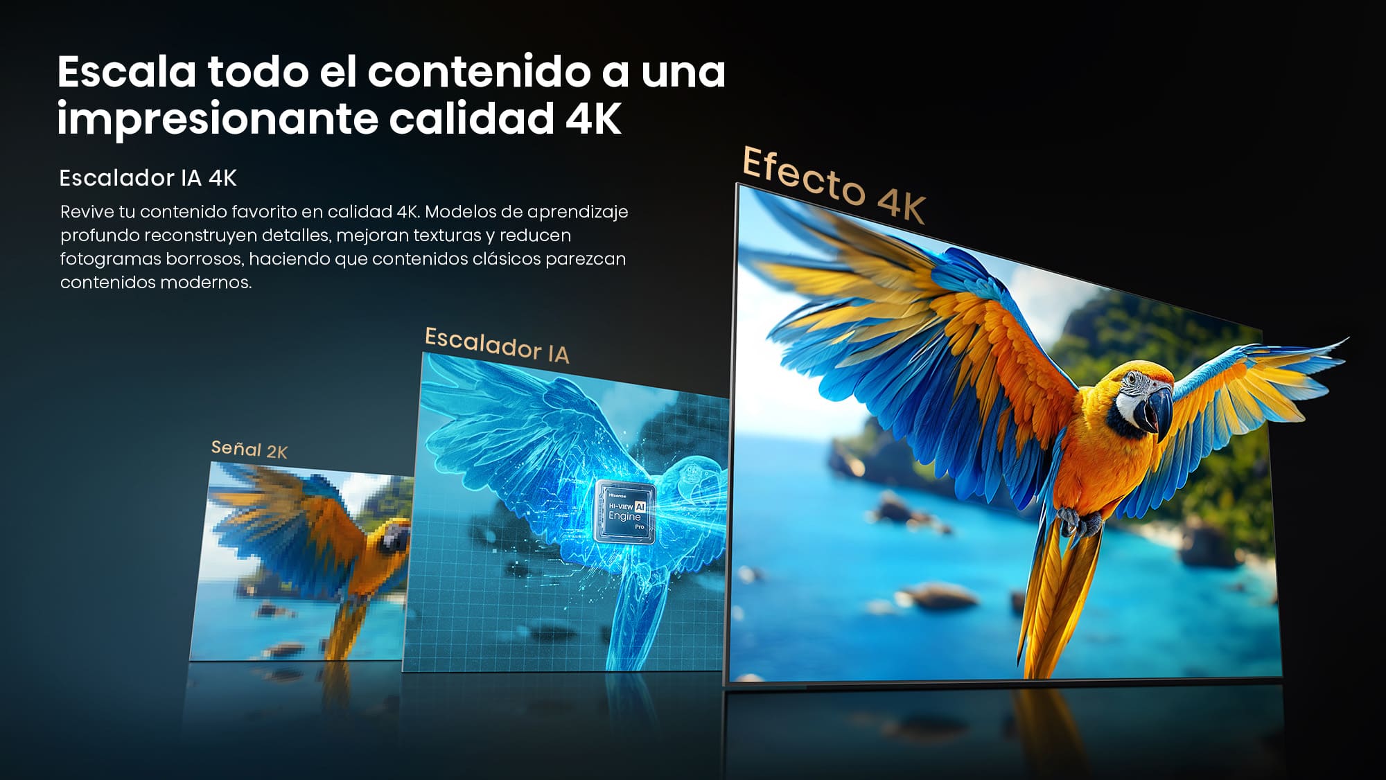 8 Escalador 4K con IA