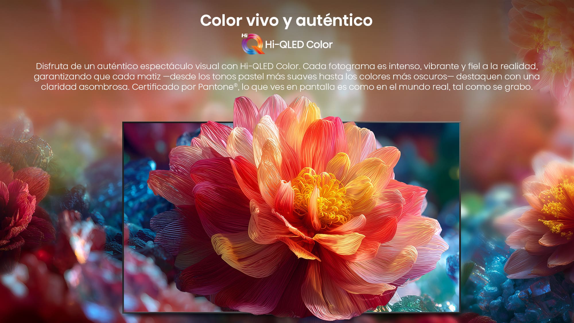 2-1-Hi-QLED Color