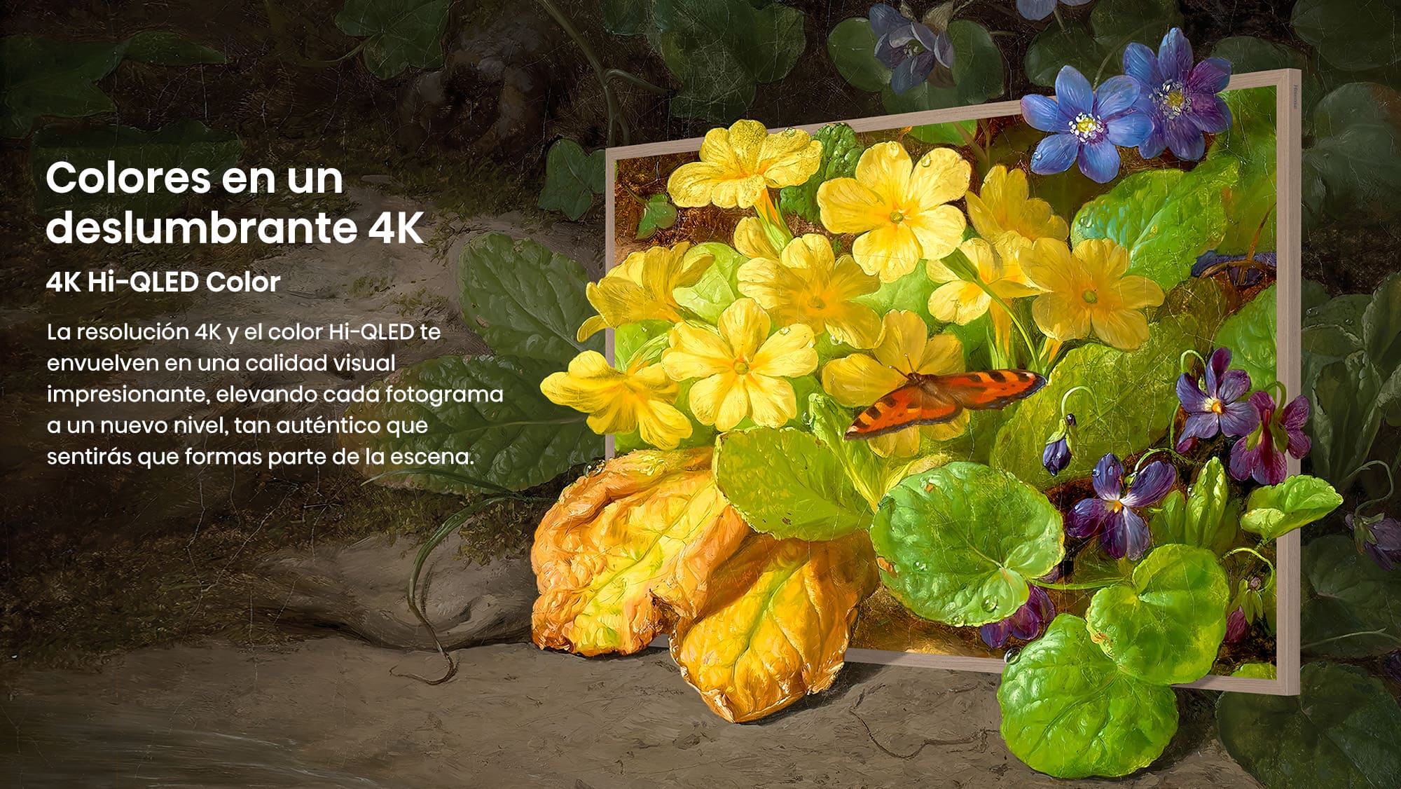 4K Quantum Dot Colour