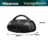 Serie Flex Altavoz Hisense VoyageBoom