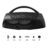 Serie Flex Altavoz Hisense VoyageBoom
