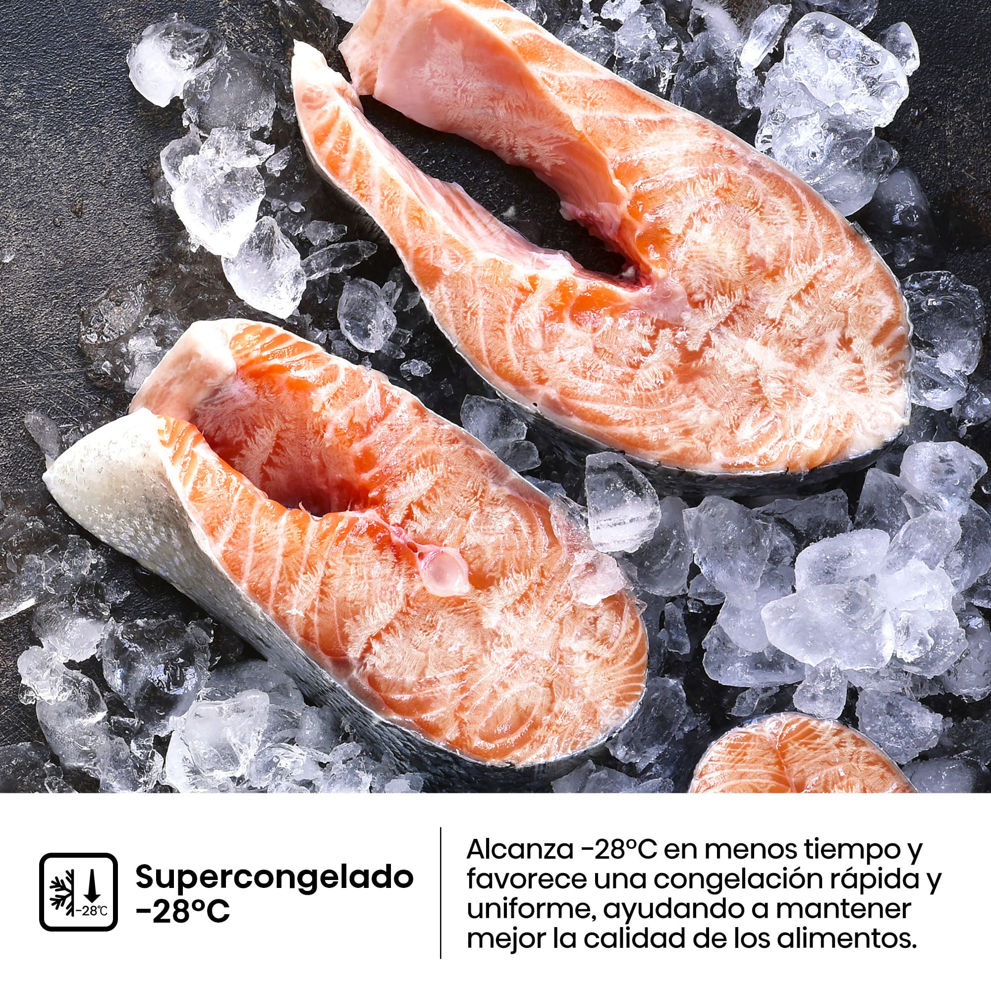Hisense - RB370K3ASC – Frigorífico Combi 2 Puertas De Kitchenfit, Clase C, Capacidad 365L, Color Inox