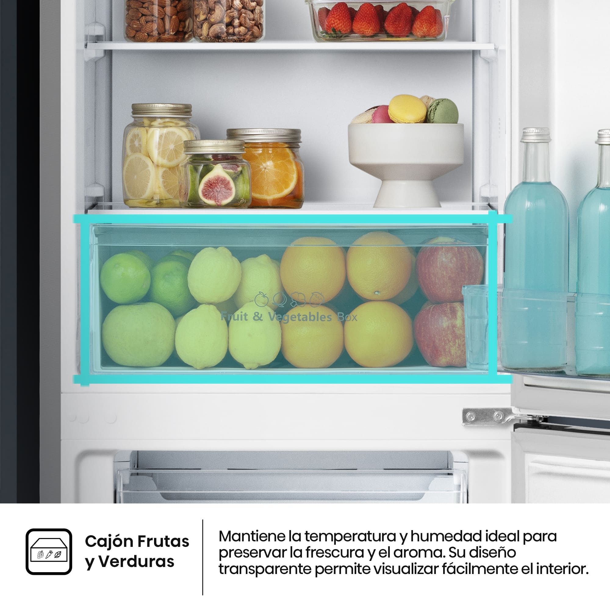 Hisense - RB255N3SD – Frigorífico Combi 2 Puertas De Libre Instalación, Clase D, Capacidad 255L, Color Inox